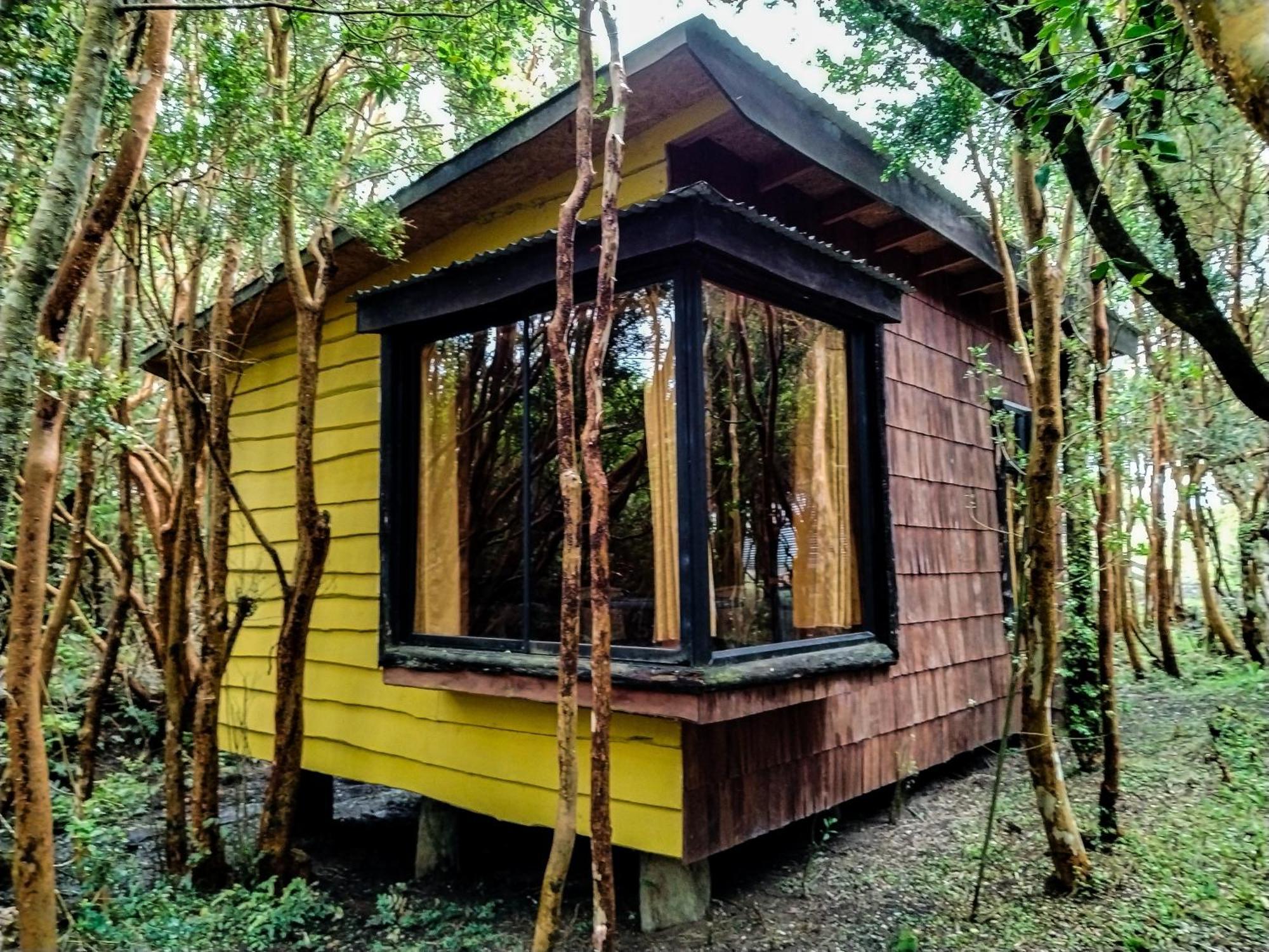 Hostal & Cabanas Luna Del Sur Cucao ภายนอก รูปภาพ